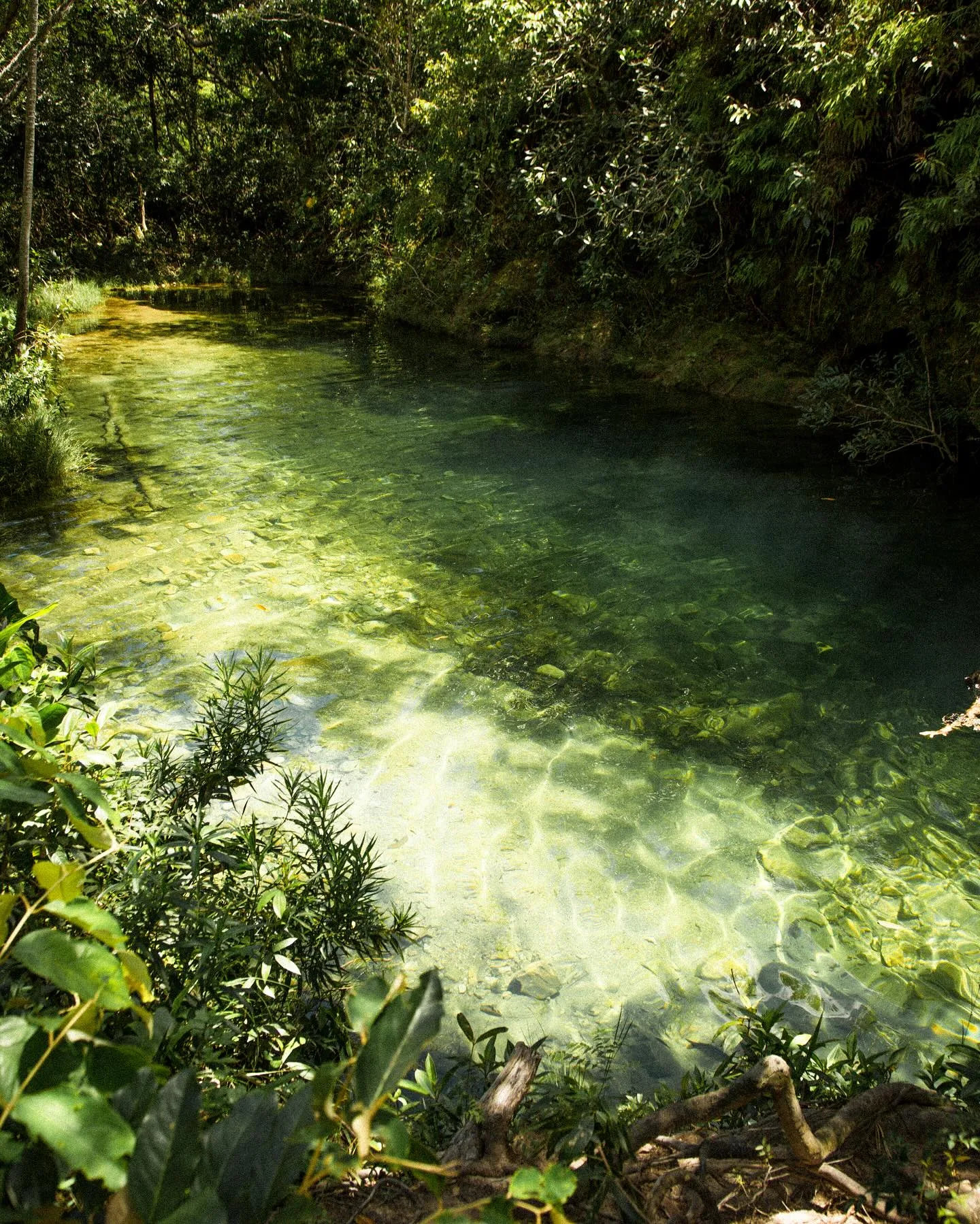 Poço de água cristalina e verde cercado de mata na Cachoeira do Segredo