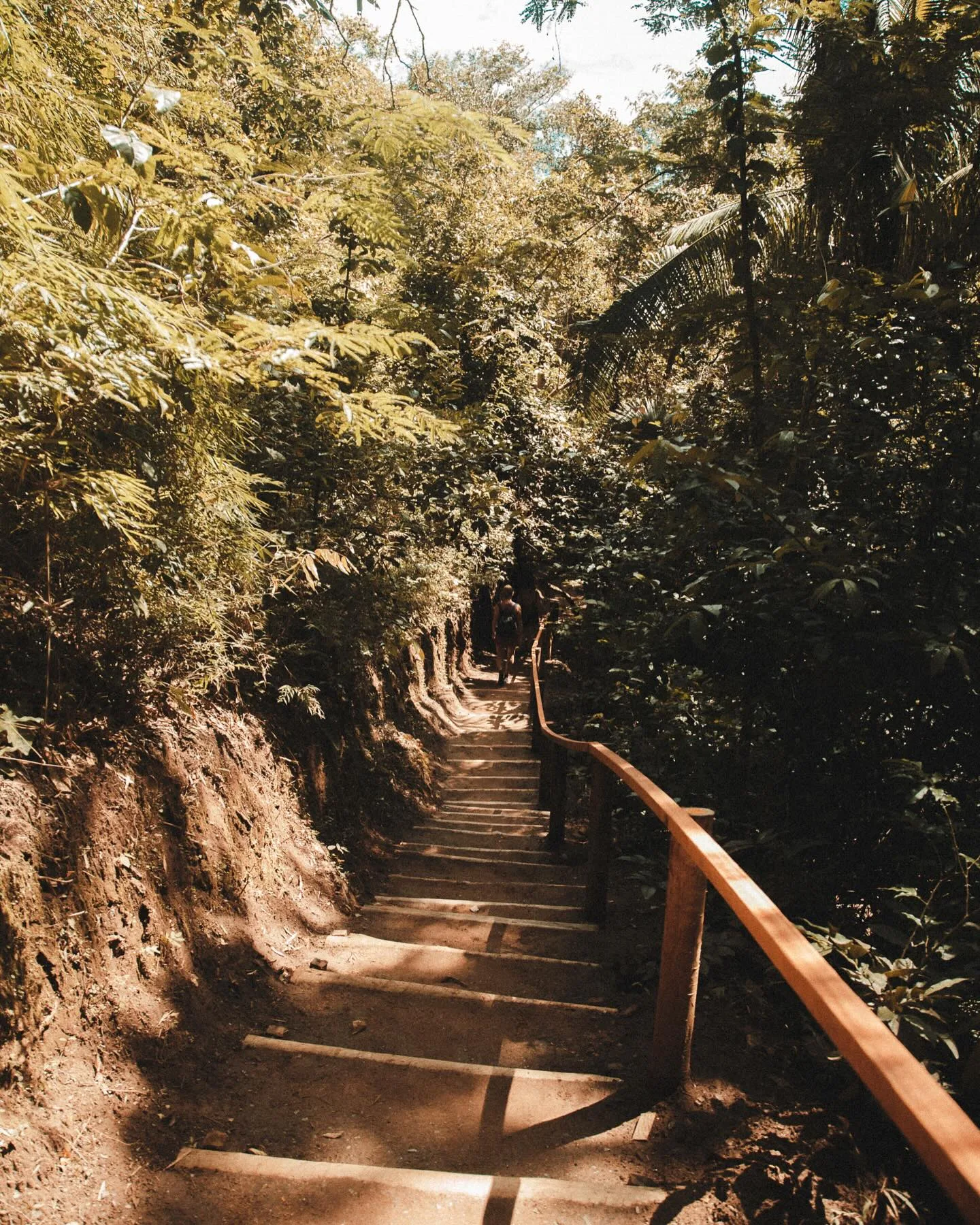 Trilha com escada de madeira e corrimão na mata a caminho da Cachoeira do Segredo