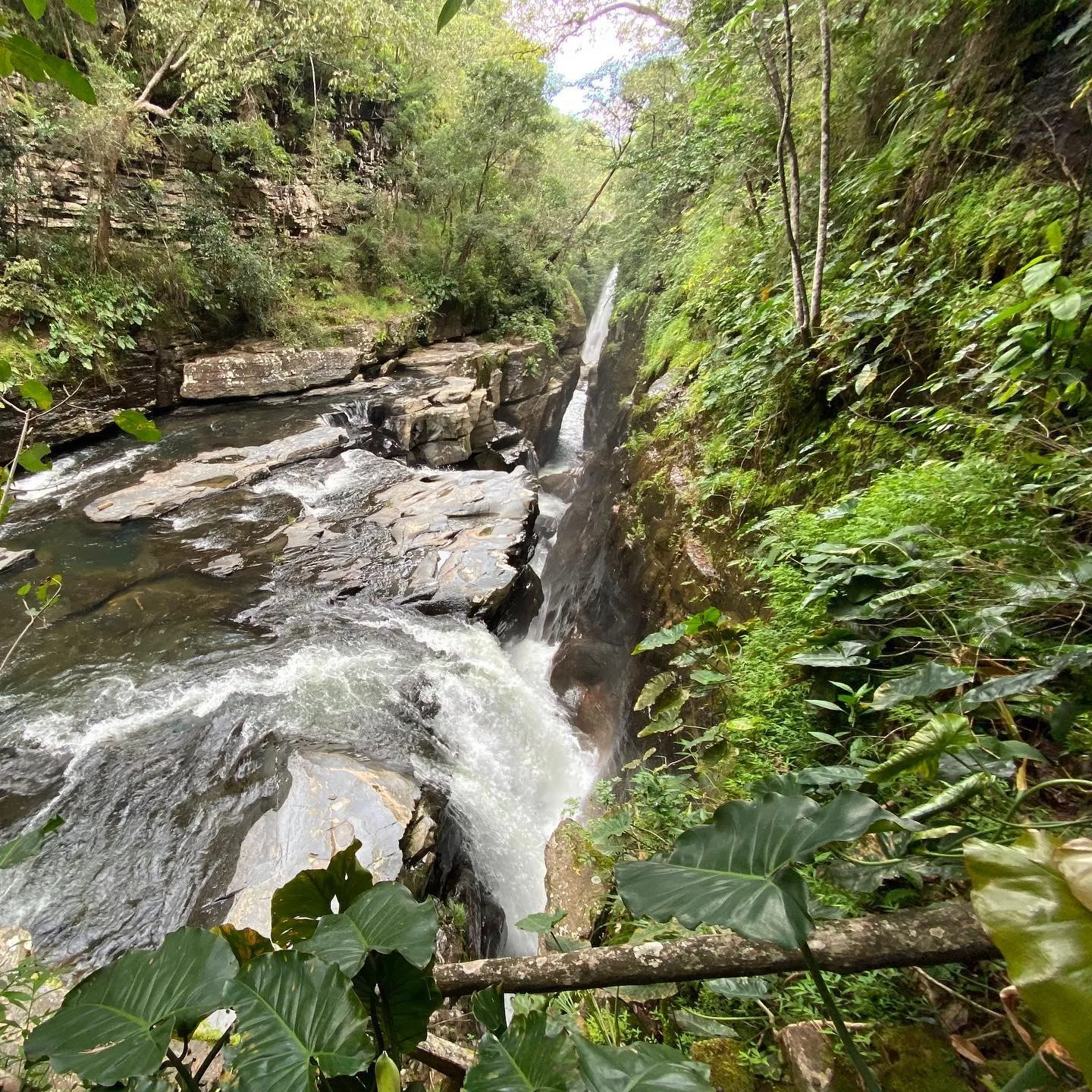 Santuário Raizama, Chapada dos Veadeiros