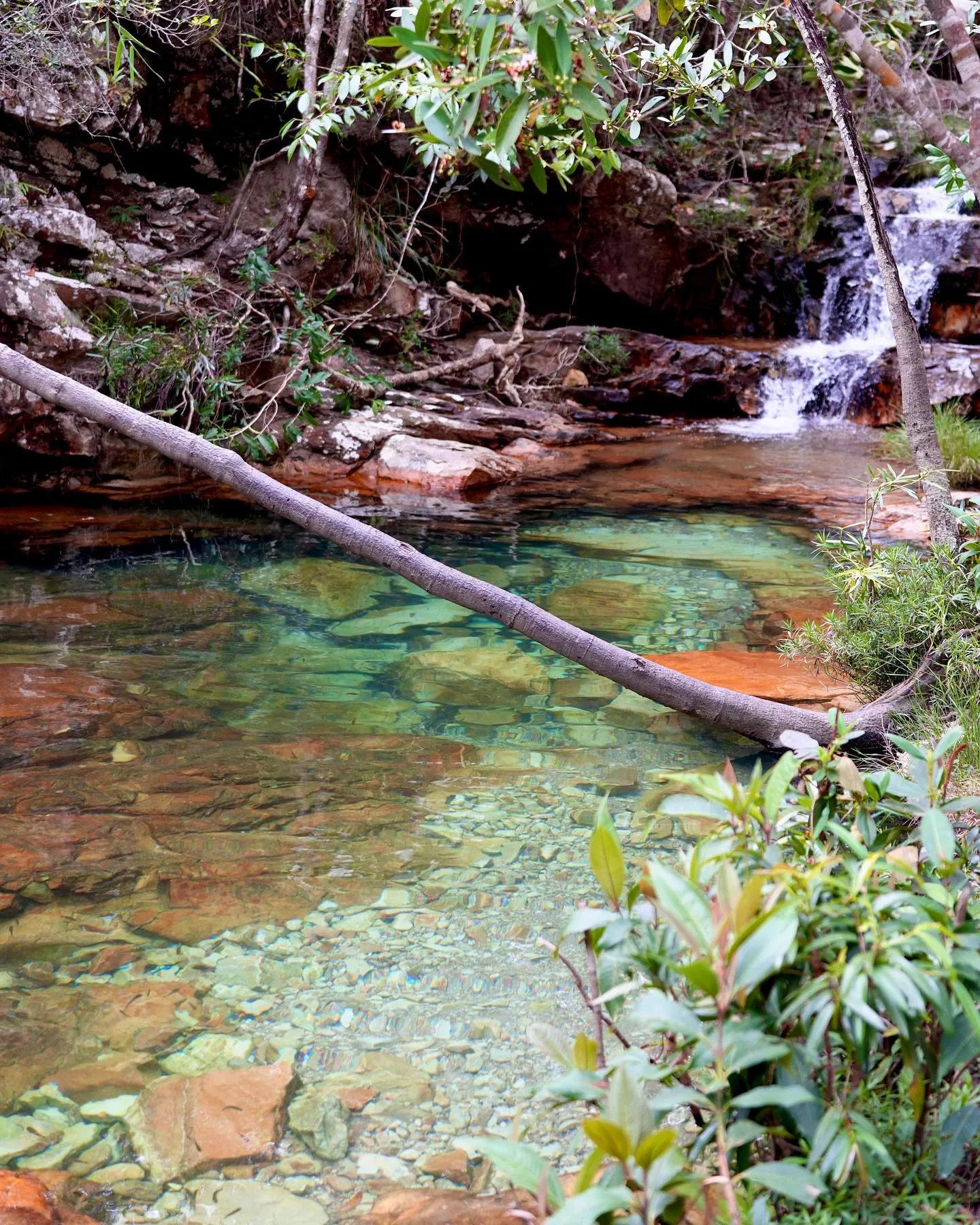 Poço Curumins nas Loquinhas, com água verde-clara e pequena queda entre pedras