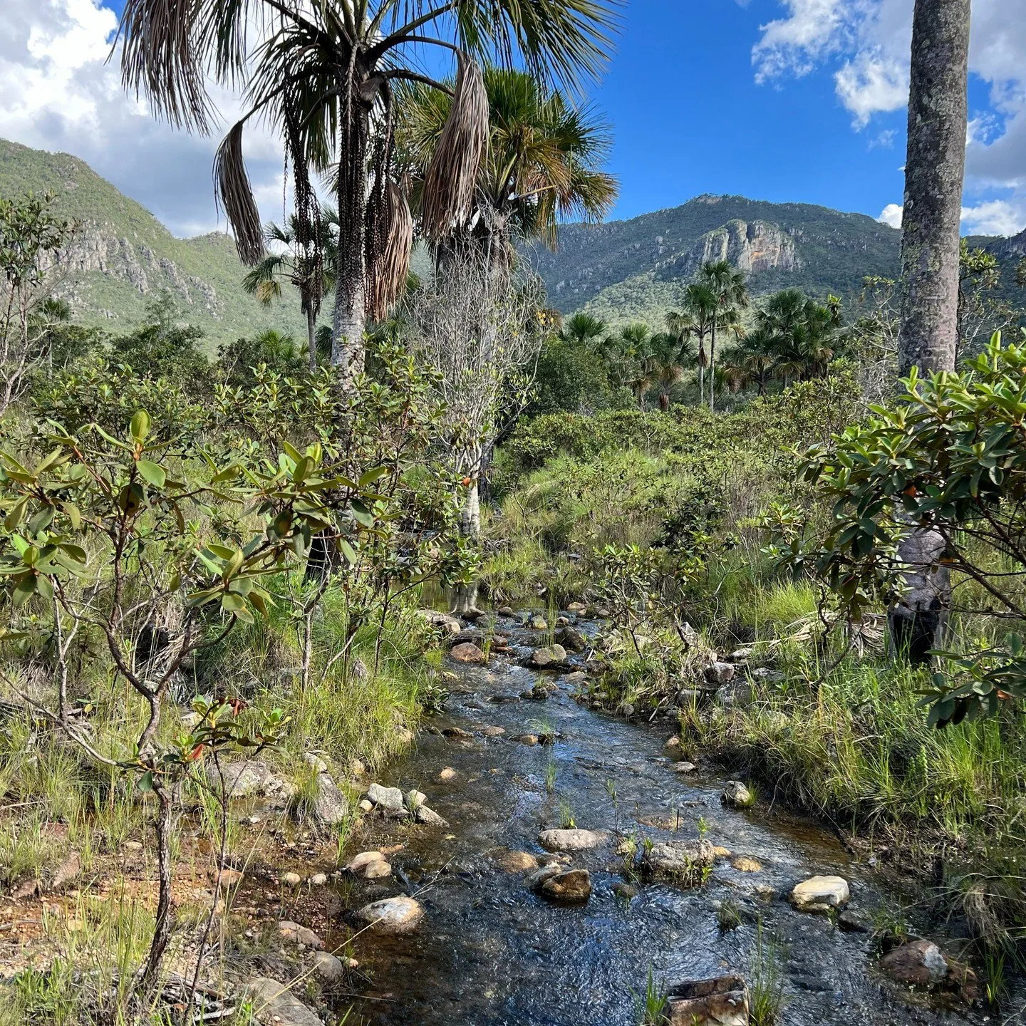 Complexo Veredas, Chapada dos Veadeiros