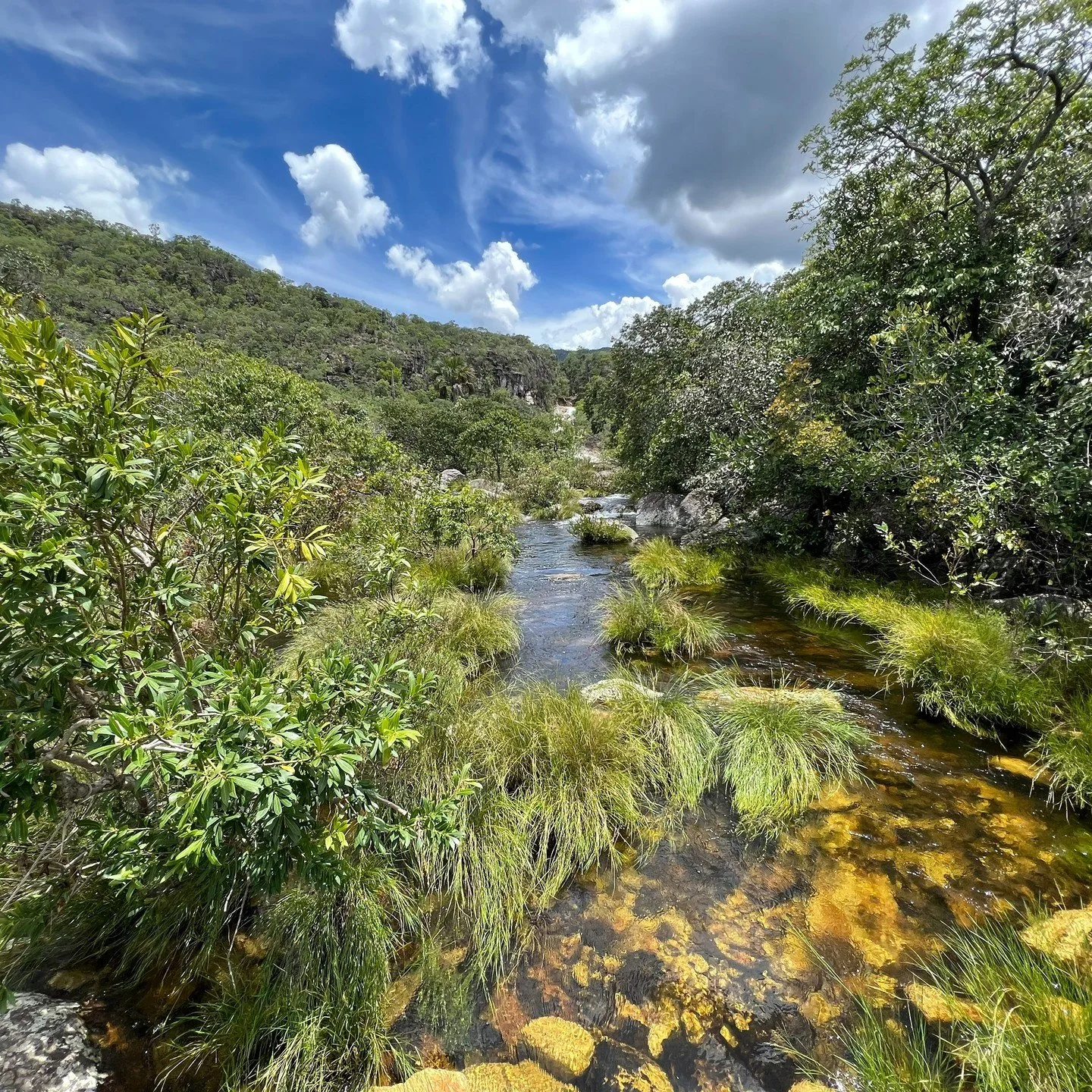 Complexo Veredas, Chapada dos Veadeiros